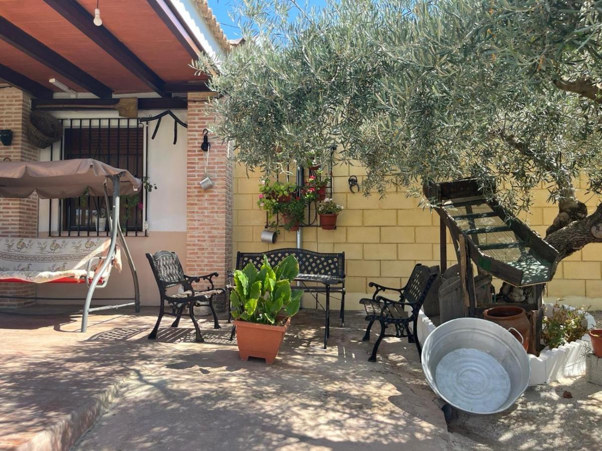 Casa Rural El Cuco Luque Εξωτερικό φωτογραφία